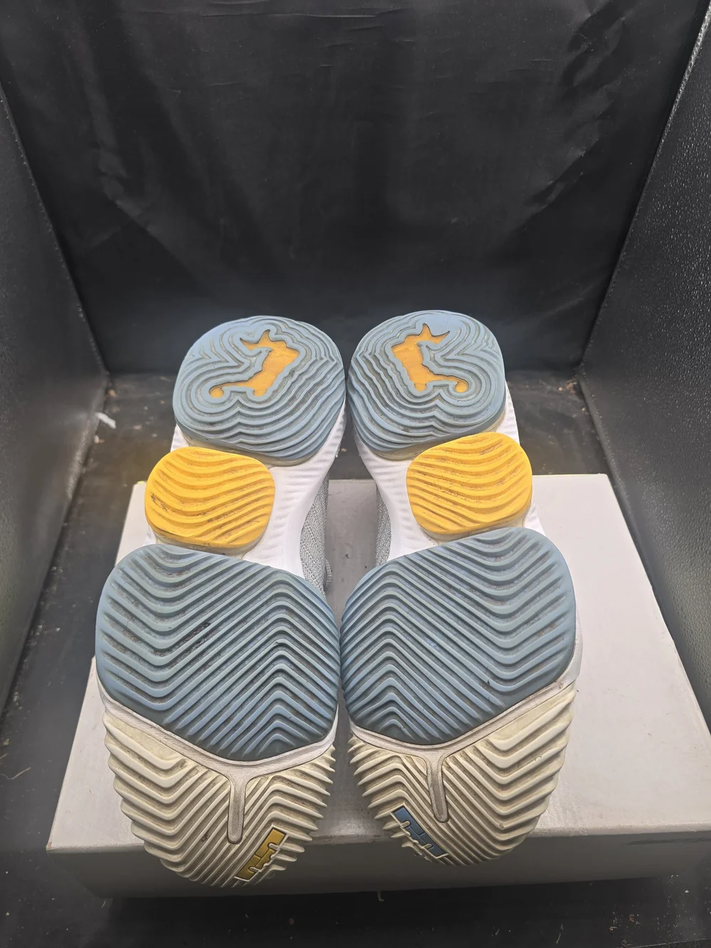 Nike Light Gray‎ Sneakers with Blue Interior